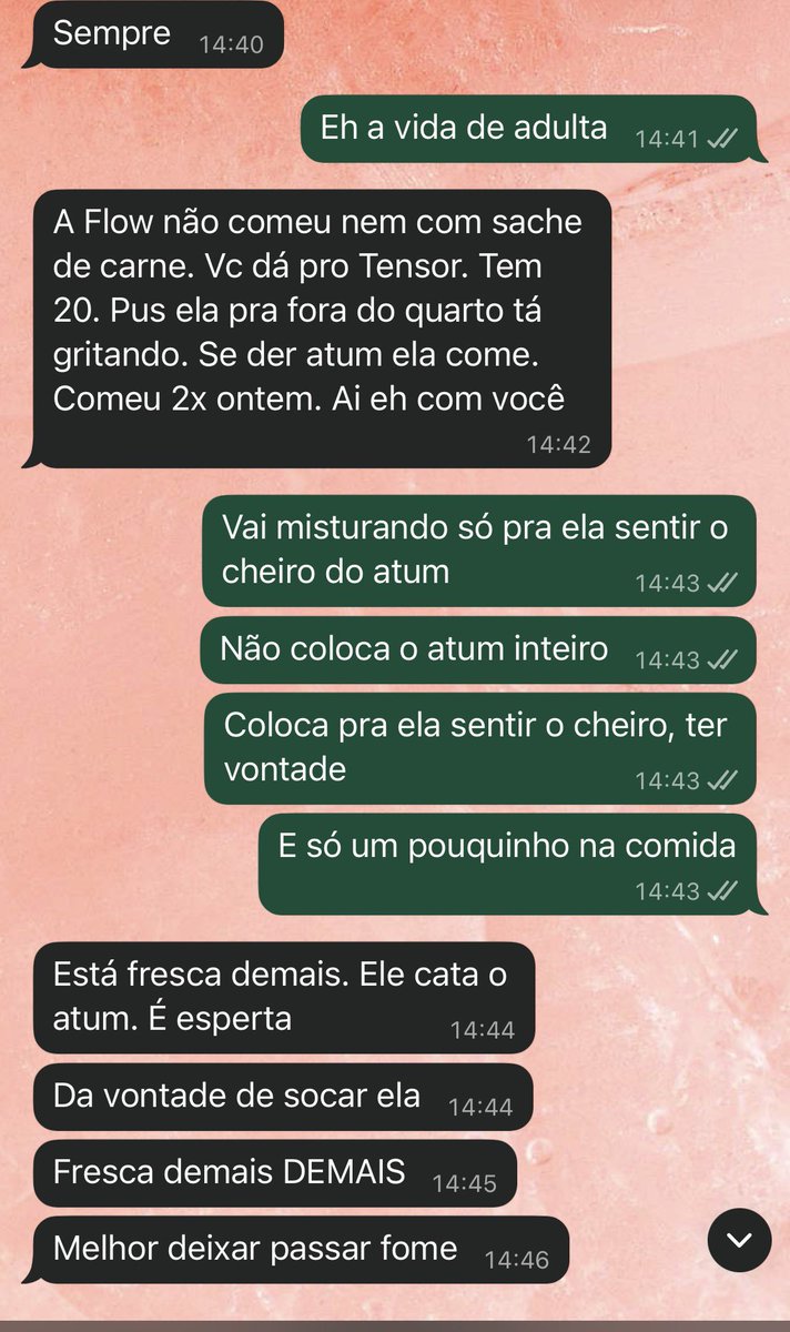 lure tweet media
