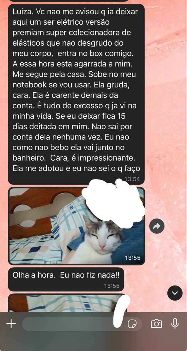 lure tweet media