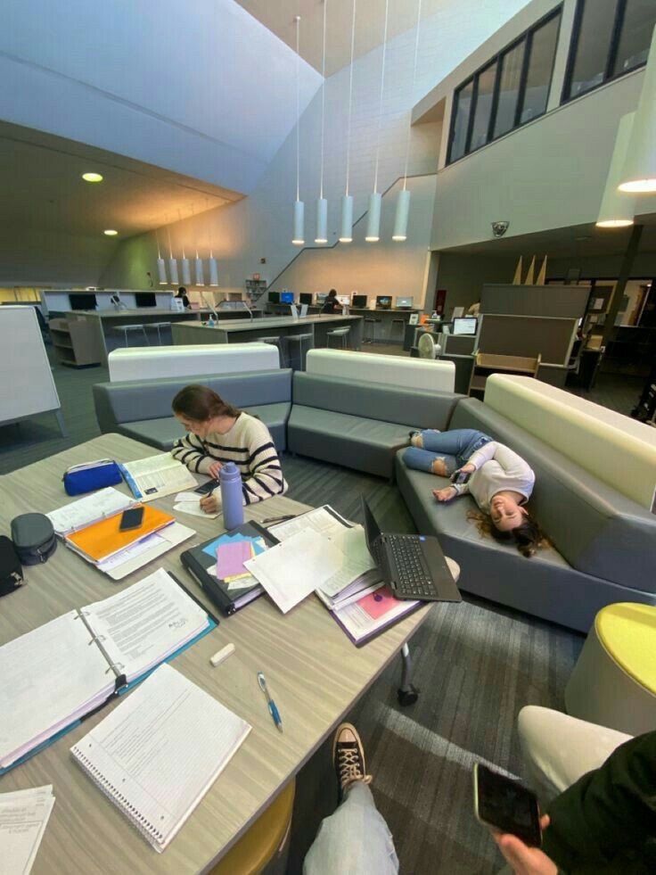 islaboards's tweet photo. college life https://t.co/y5JPL4oDAg