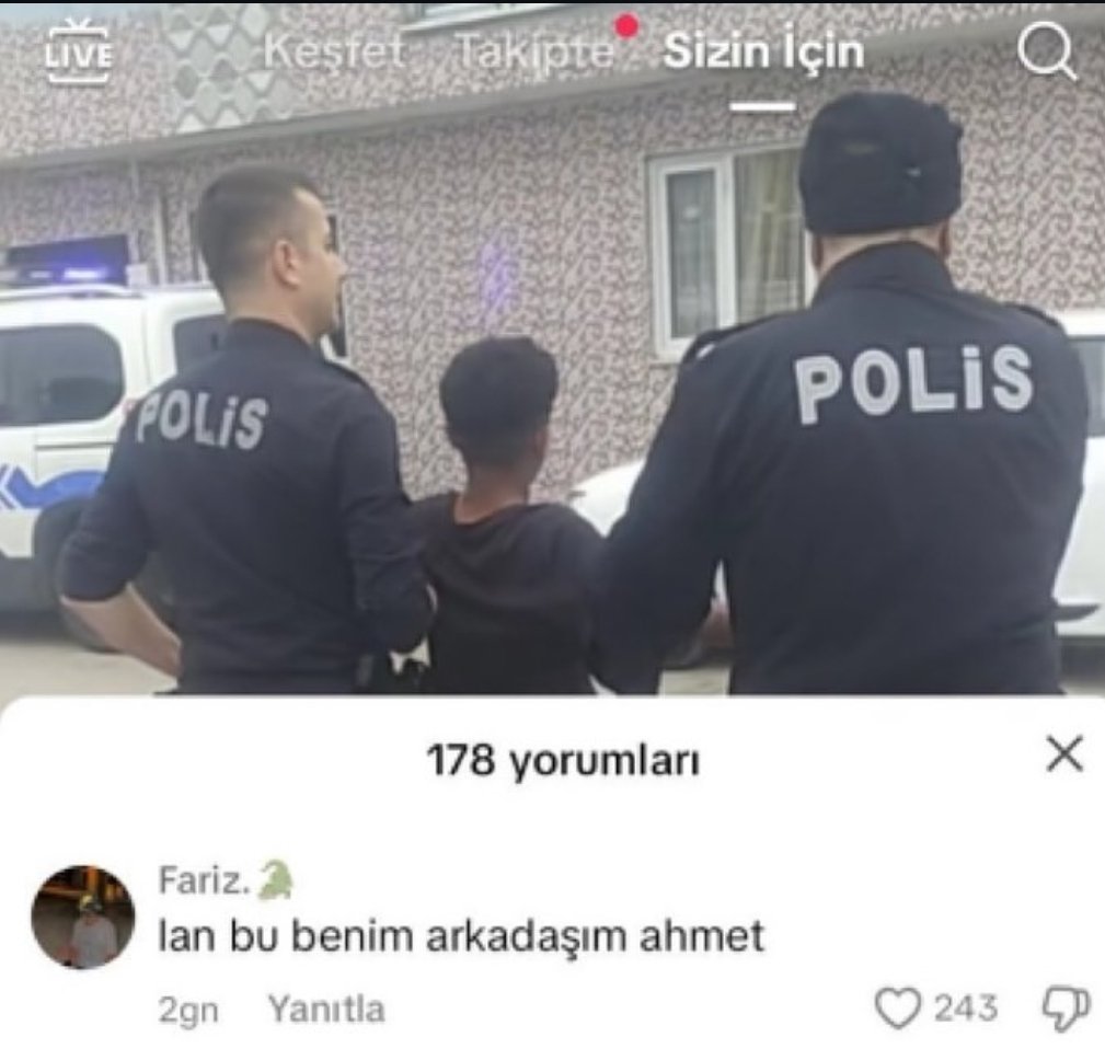 FeuerR tweet media
