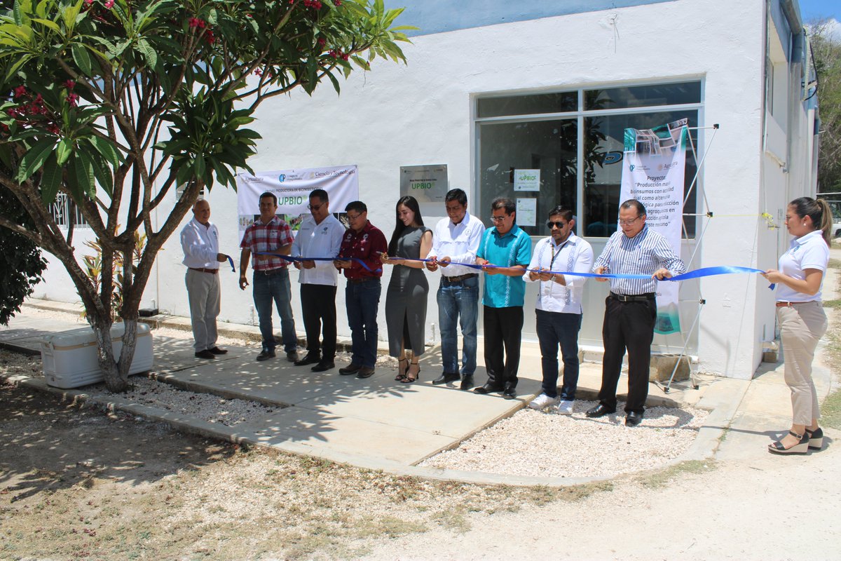 CP_Campeche's tweet photo. El Colegio de Postgraduados Campus Campeche celebró la reinauguración de la UPBIO. Un proyecto respaldado por la SECIHTI que lleva bioinsumos y alternativas ecológicas directo a los productores.

¡Liderando la transición hacia una agricultura libre de agroquímicos en el sureste! https://t.co/I59sQUCo7M