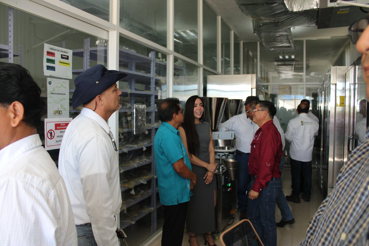 CP_Campeche's tweet photo. El Colegio de Postgraduados Campus Campeche celebró la reinauguración de la UPBIO. Un proyecto respaldado por la SECIHTI que lleva bioinsumos y alternativas ecológicas directo a los productores.

¡Liderando la transición hacia una agricultura libre de agroquímicos en el sureste! https://t.co/I59sQUCo7M