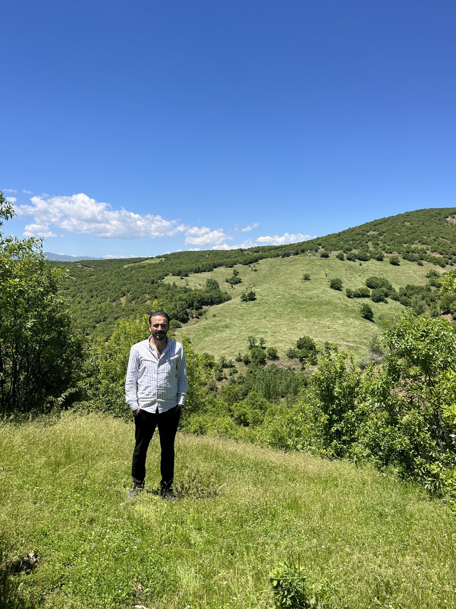ilyas_dener's tweet photo. Çiçeklerin arasına gizlenmiş bavyeralı top bataryası kadar güzel . https://t.co/rwX8O11Ga8