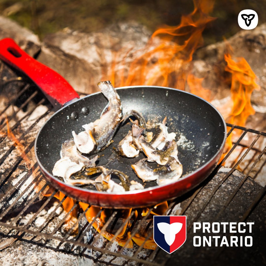 Fish cooking over an open fire