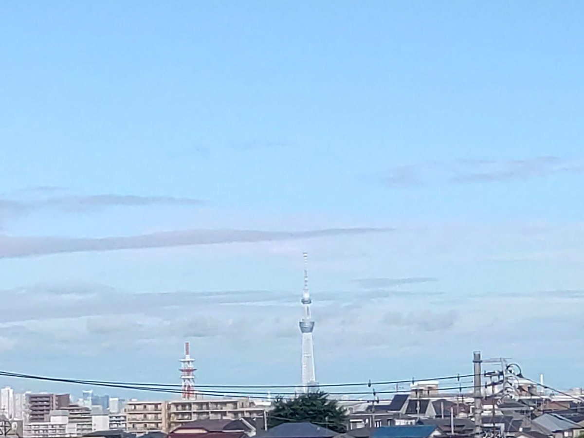 ショーイチ tweet media