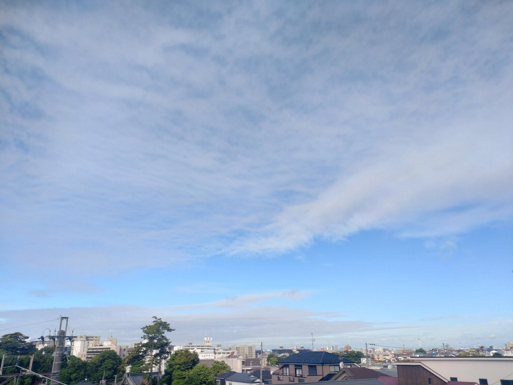 ショーイチ tweet media