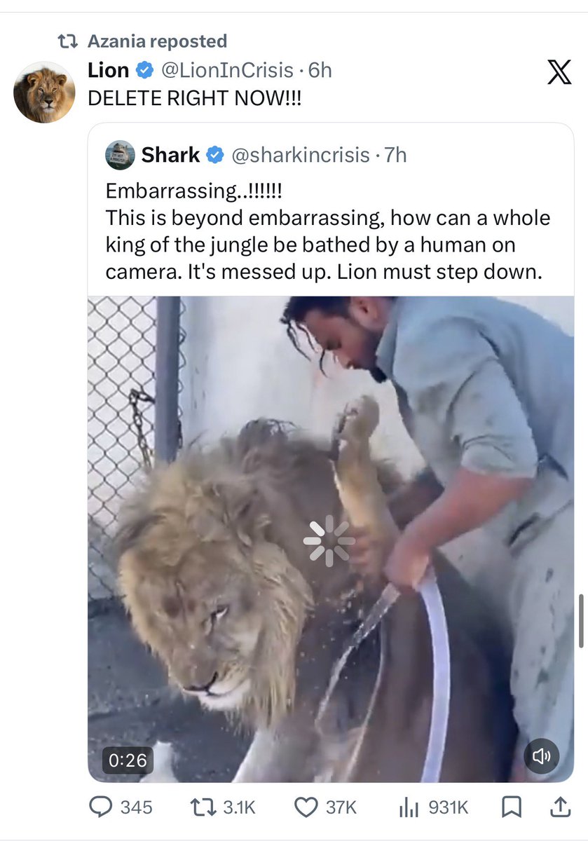 danielfr0sh's tweet photo. @neckincrisis @patolee123 🤣 why do all animals have problems with human https://t.co/aaI1q5FlGx