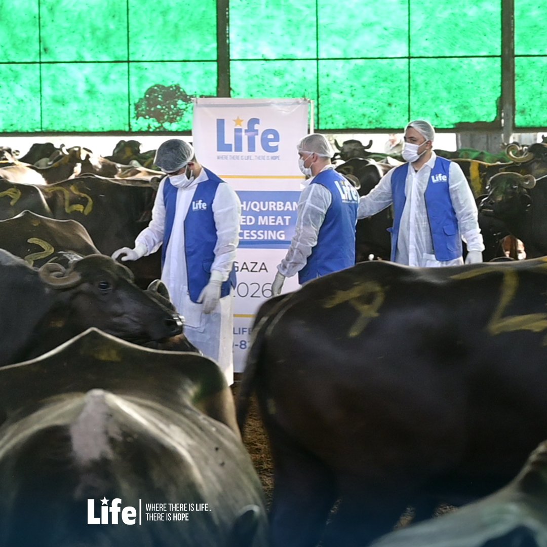 LIFEforRELIEF's tweet photo. Phase 1 of Gaza 2026 Udhiya/Qurbani has offcially begun!

✔️Inspection & Sacrifice 
🔄Cutting & Chilling 
⏳Cooking & Canning 
🎯Shipping & Distribution 

This journey isn't possible without you. There is still time.

Donate your Qurbani now:
https://t.co/h4ljuRRSA2

Life For Relief and Development

#GazaRelief #Qurbani2026 #GazaChildren #EidJoy #gazarelief #HumanitarianAid