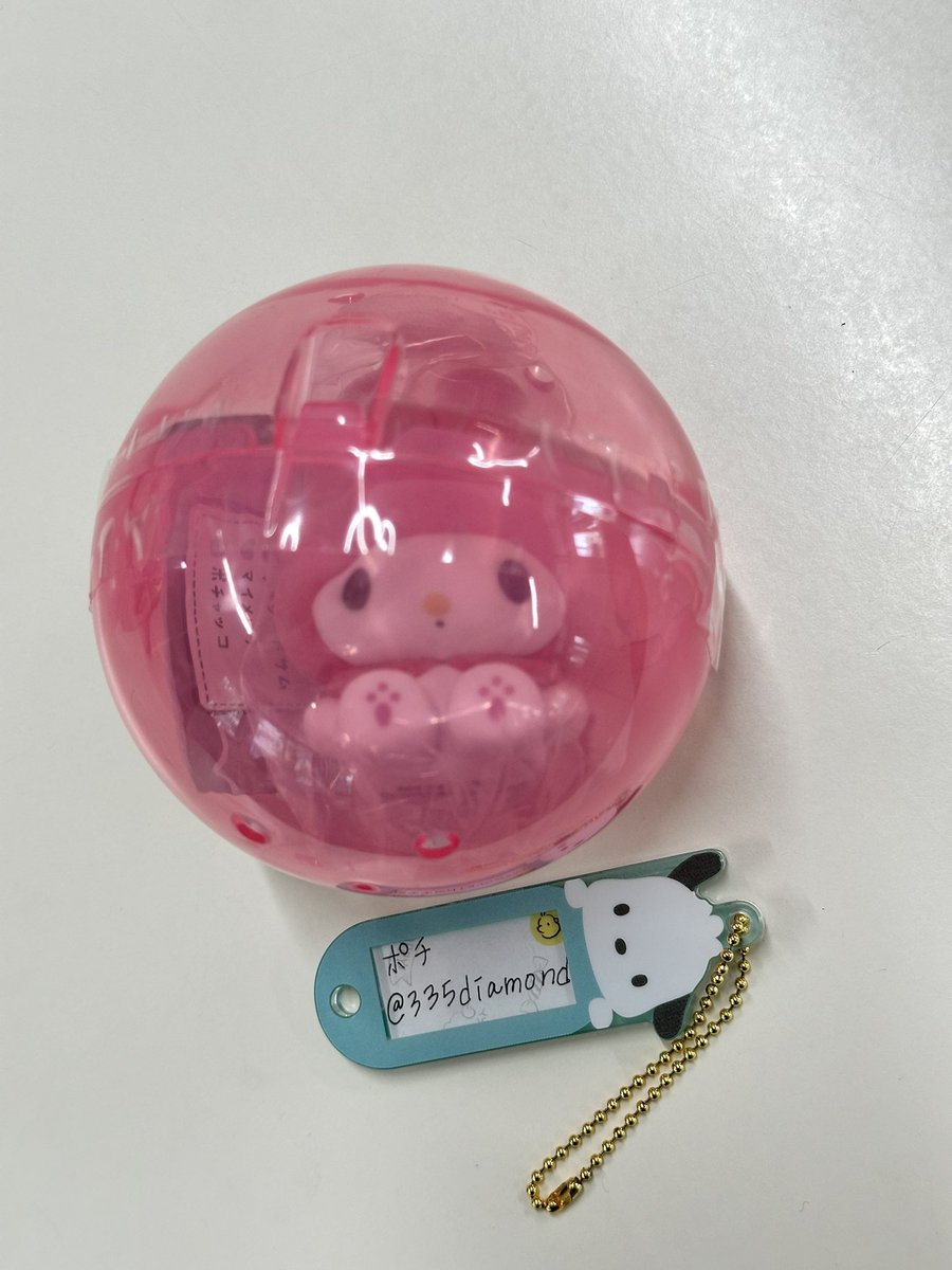 ポチ tweet media