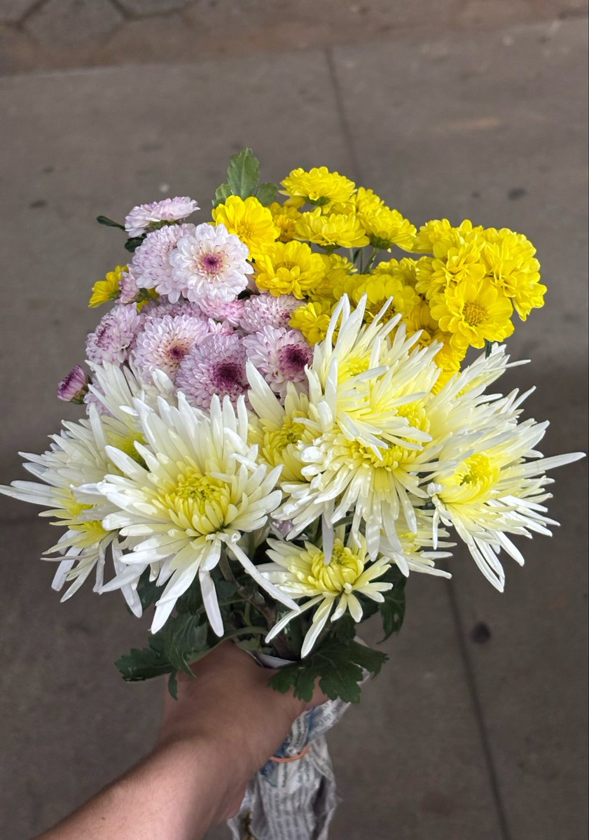 mariislate's tweet photo. Eu toda felizinha andando pela cidade com meu buquê de flores 🥰🥰🥰🥰🥰🥰 https://t.co/KCwiV7OPxI