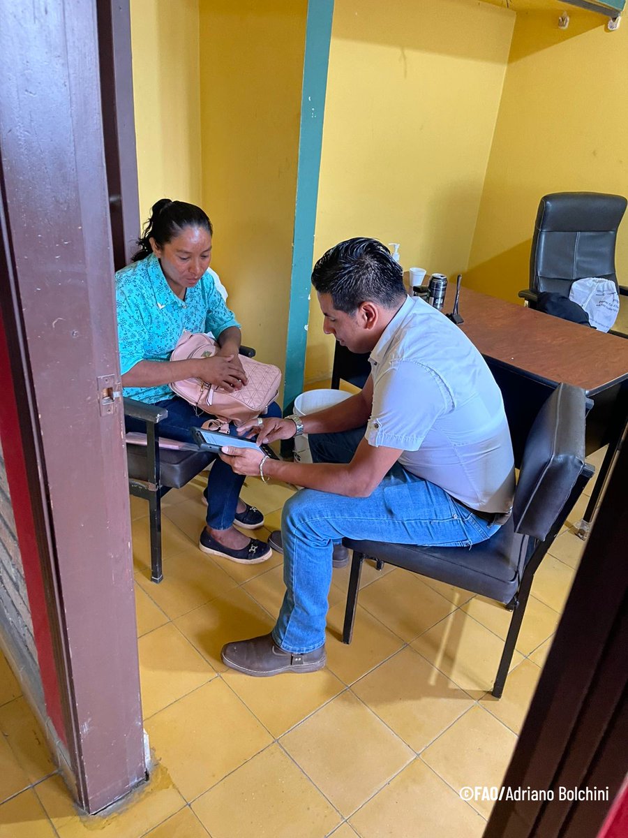 FAOHonduras's tweet photo. La @FAOHonduras, junto a la @unaghonduras y el @IHCAFE, une esfuerzos en el sector cafetalero de #Honduras, recolectando datos georreferenciados para validar el índice #DIGICHILD y estimar el riesgo de trabajo infantil🤝☕️🇭🇳
Por un sector agrícola y cafetalero #sintrabajoinfantil https://t.co/qed9ETHUEO