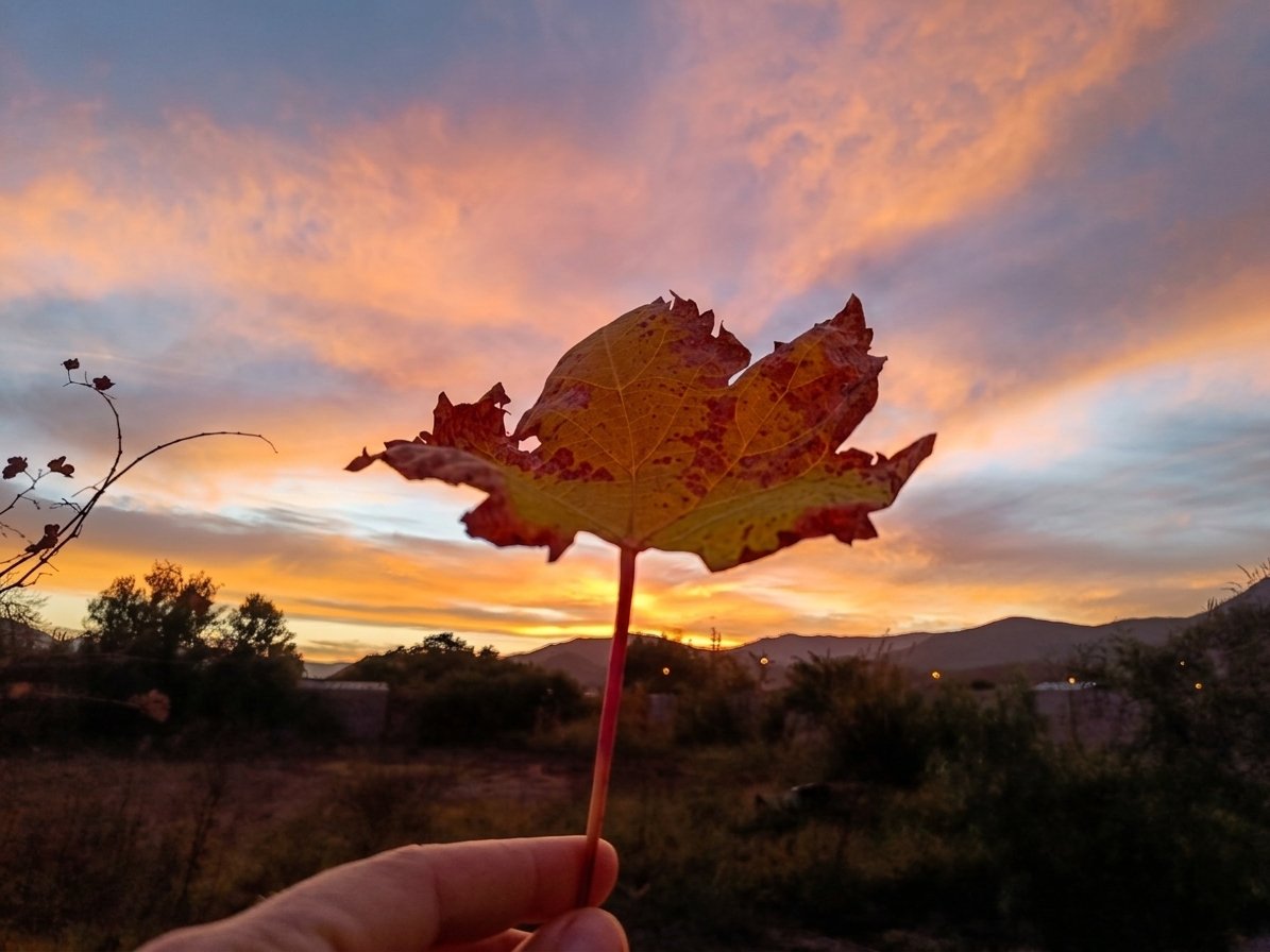 exploraelqui's tweet photo. Un atardecer en Elqui. https://t.co/nASmRdXgON