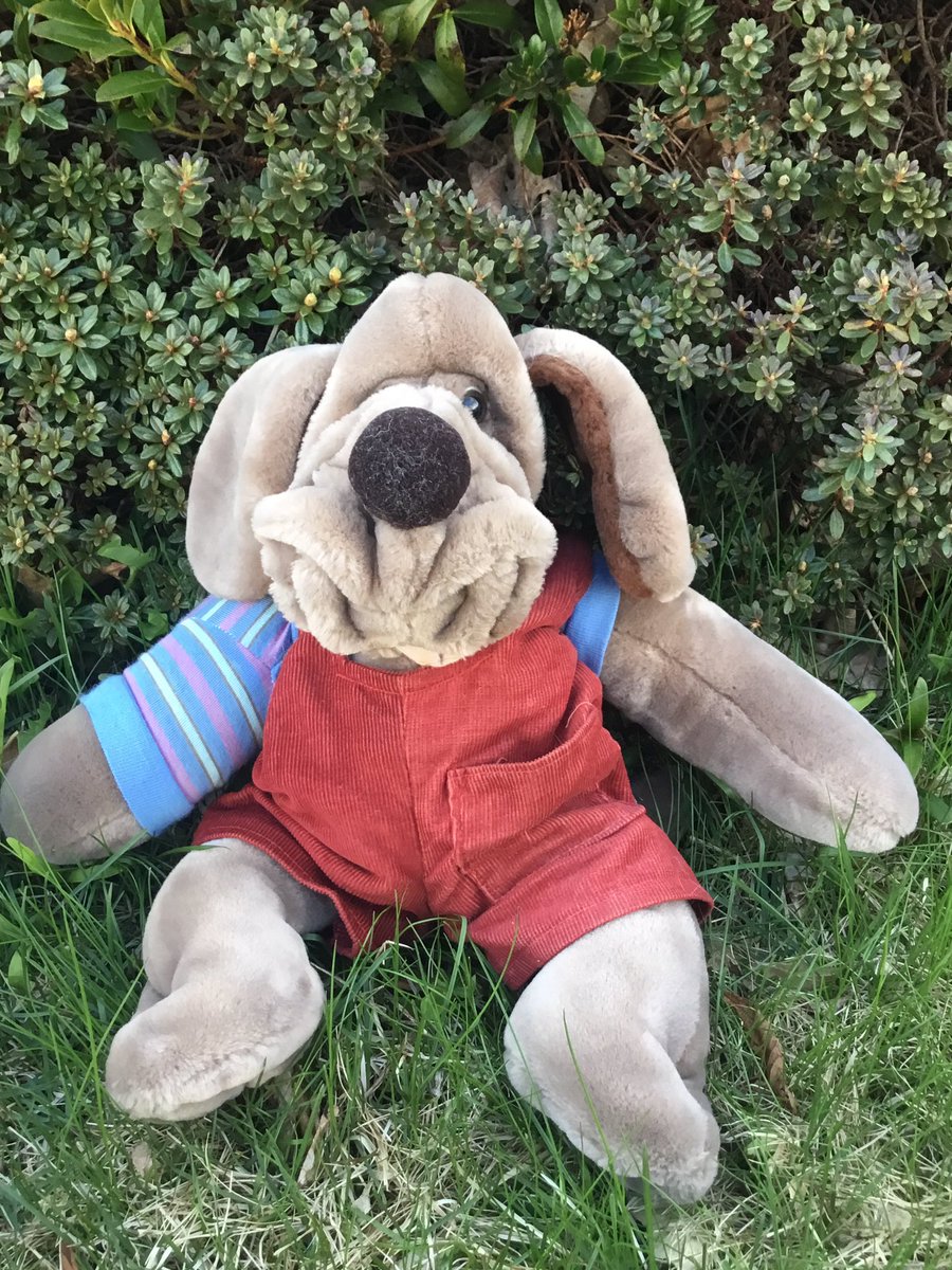 LadyVenomNF's tweet photo. Wrinkles πΎ 1981 Ganz Bros
#vintagetoys #dogs #handpuppets #toys #80s https://t.co/7RzWUD2B5M