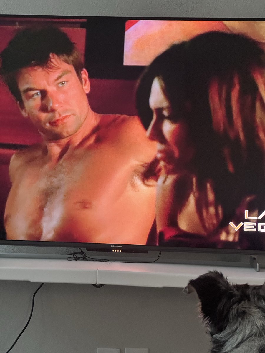 Ray2090's tweet photo. @MrJerryOC great start to the episode, my dog was all in https://t.co/fvV294286l