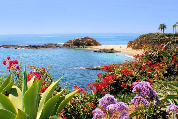 elyradream's tweet photo. tropical summer https://t.co/qc9ntlNkRA