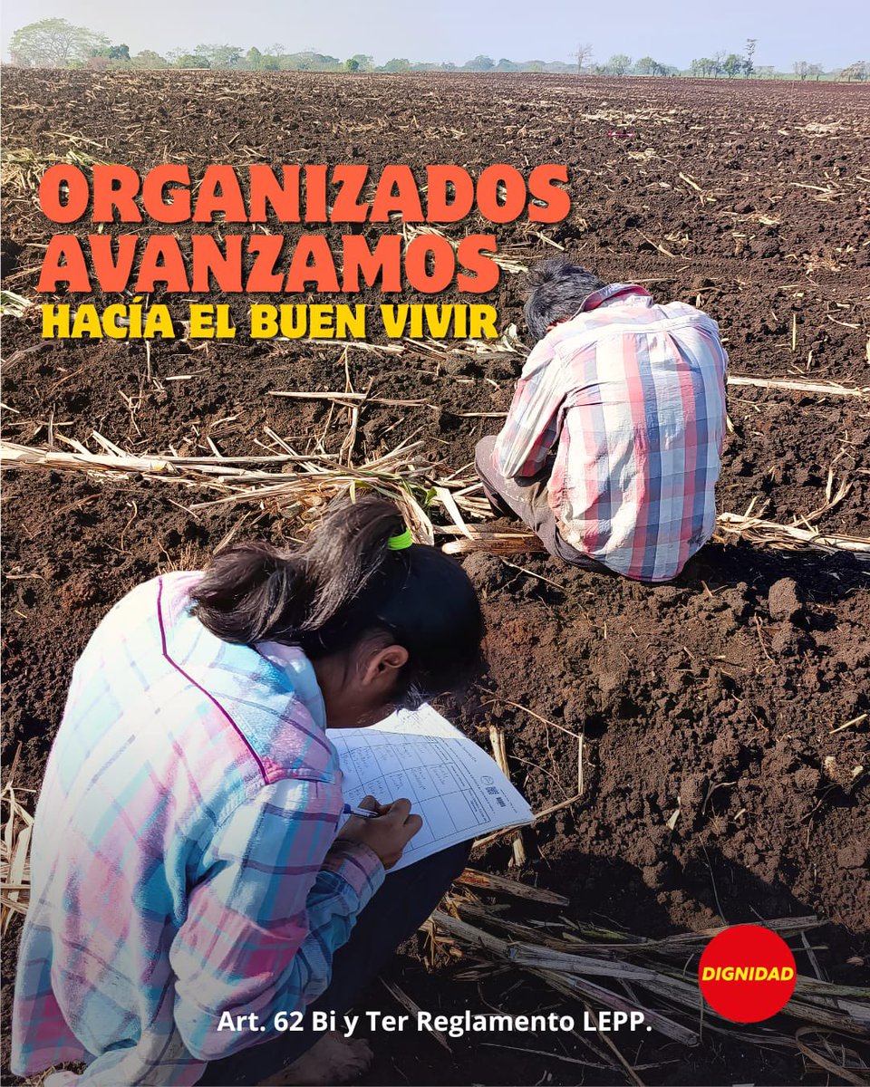 Dignidad 🔴 tweet media