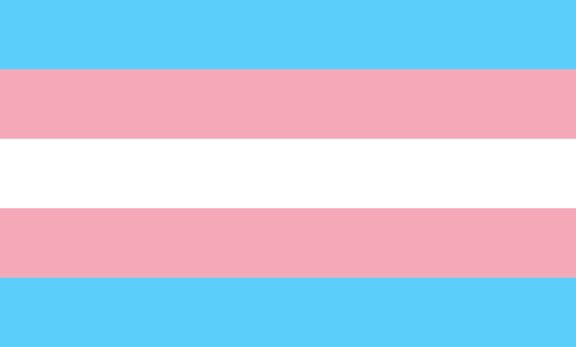 IamLeeNelson's tweet photo. That’s a pride flag this is the trans flag https://t.co/R8OpupI5yx
