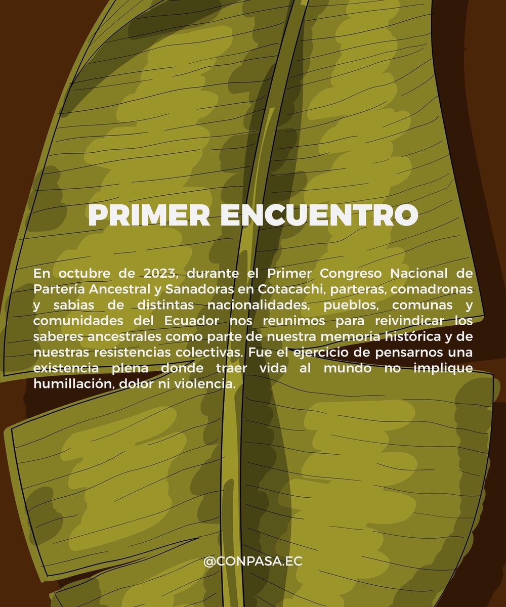 MujeresAsfalto's tweet photo. 🌿✨ El camino hacia Esmeraldas ya empezó.
Desde Cotacachi en 2023 y Archidona en 2025, parteras, sanadoras, comadronas y sabias hemos tejido encuentros para defender los saberes ancestrales, la vida y el derecho a cuidar y parir con dignidad. 🤲🏾🏳️⚧️
#ParteríaAncestral #Sanadoras https://t.co/A31JXWUQSI