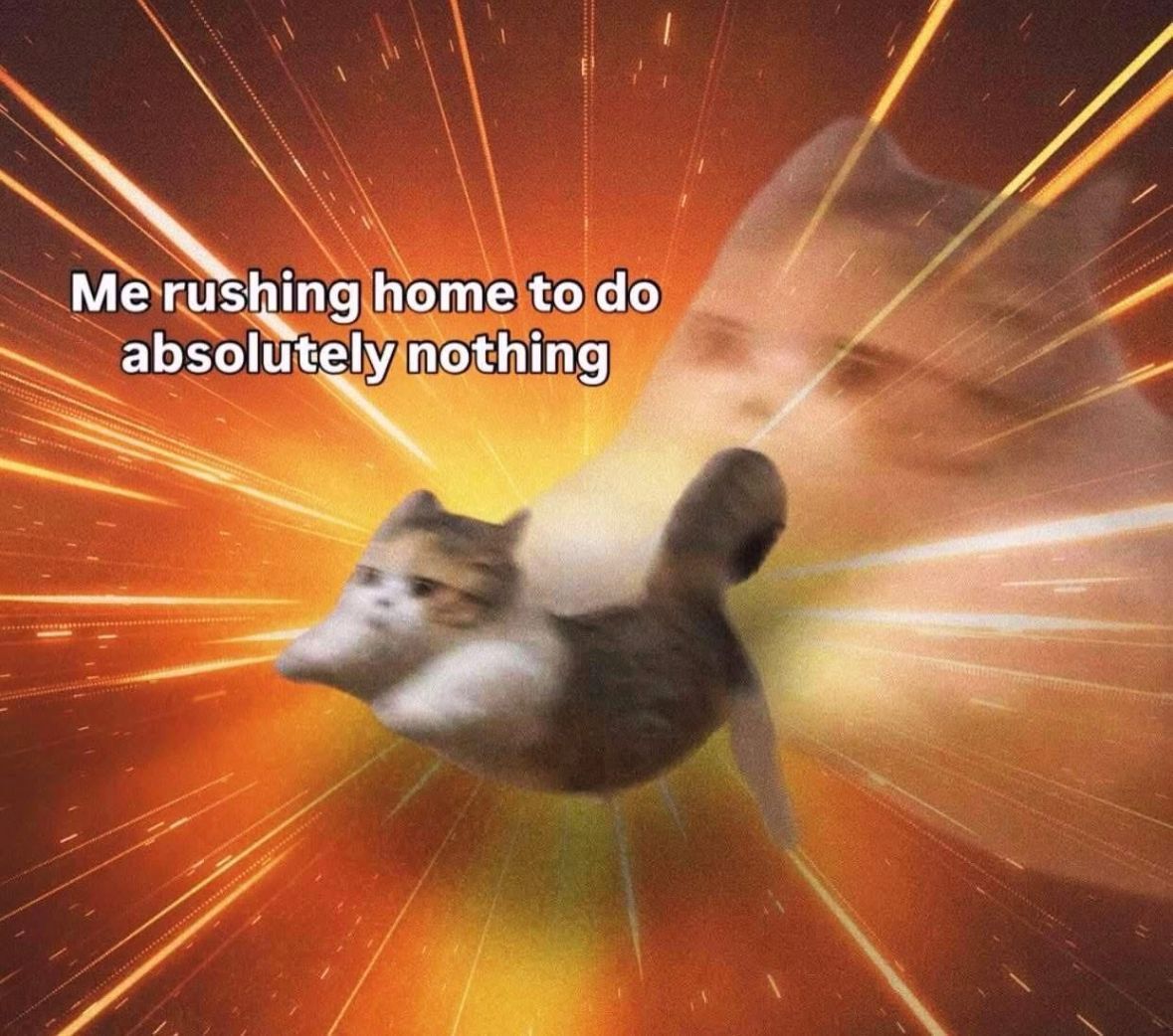 ADHD Memes tweet media