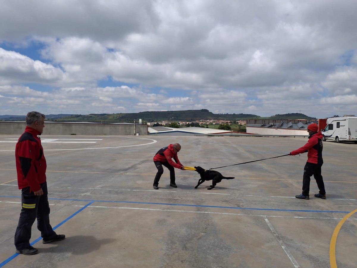 ESDP_esp's tweet photo. 🐕‍🦺👨‍🚒 Comenzamos la formación de apoyo y perfeccionamiento para los guías caninos del Grupo de Actividades Especiales de @bomberscat.

Durante estas semanas les ayudaremos a fortalecer sus conocimientos en materia de adiestramiento de perros de rescate.

Muchas gracias por confiar en los más de 25 años de experiencia de la ESDP. Es un placer trabajar juntos.