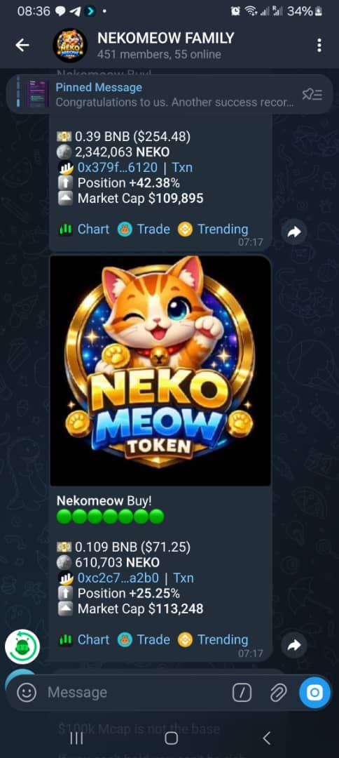 NekomeowDev20's tweet photo. THIS IS WHERE WE ARE COMING FROM AND THIS IS OUR ALL TIME HIGH. 

BUY THIS TOKEN NOW AND BE A PART OF THE NEXT BIG THING IN THIS SPACE. DO THIS AND THANK ME LATTER.
ca
0x103c164727572d7a0be8021f3d9274f0eb9f4cf8 https://t.co/moNBYTr6BK