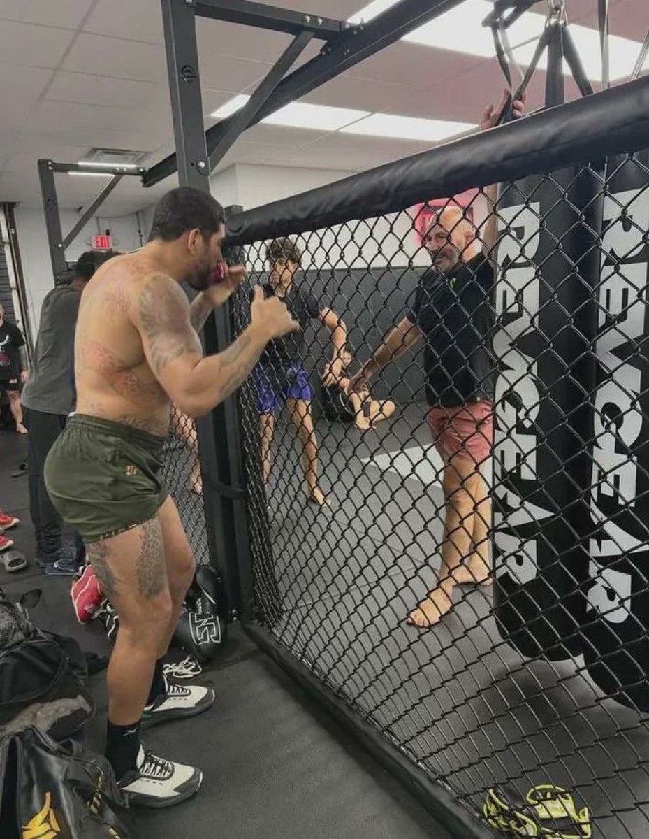 MMA يوسف tweet media
