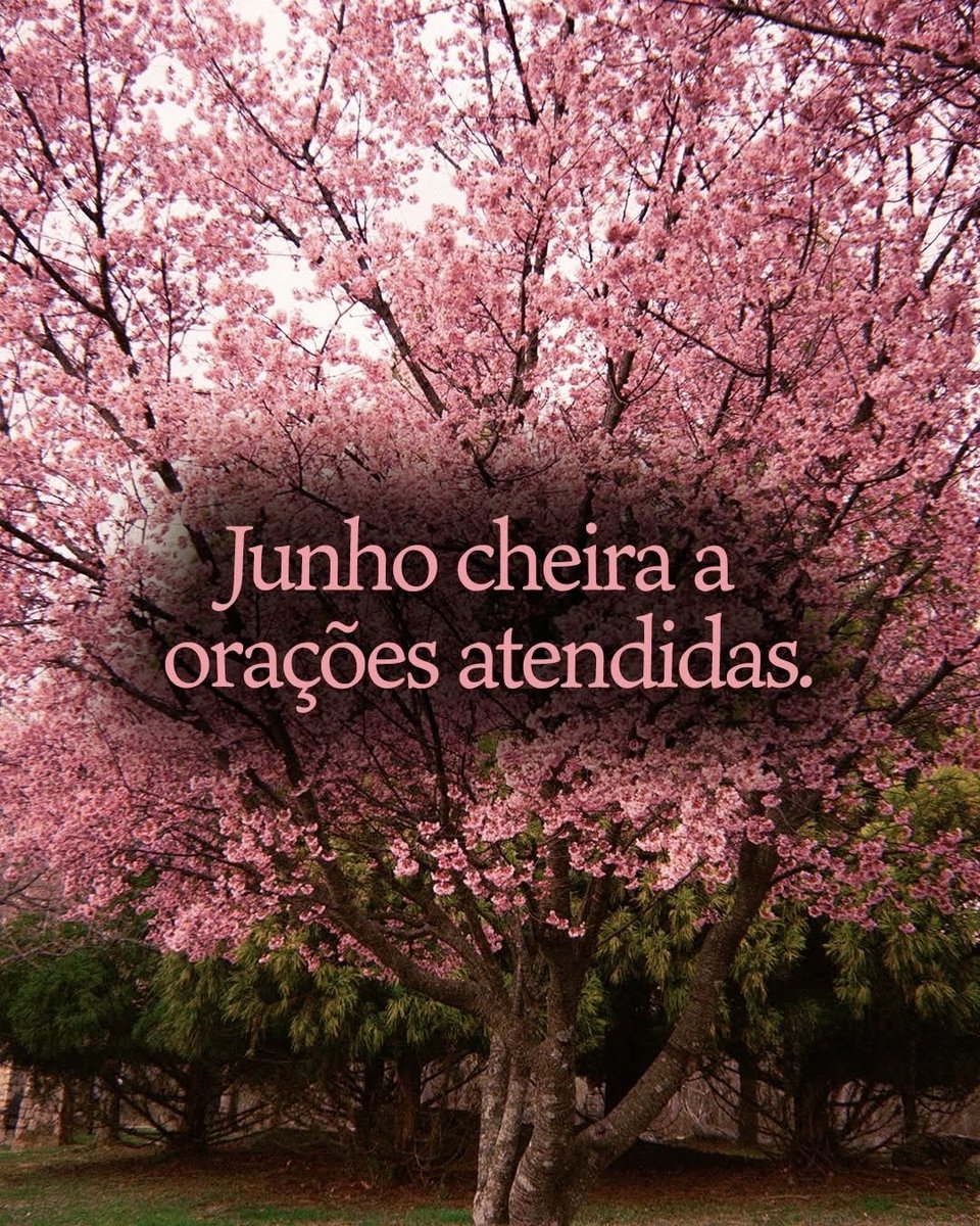 Frases tweet media