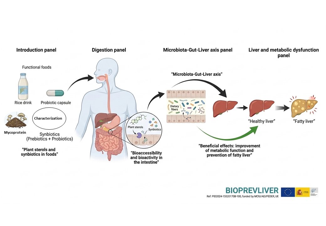 bionutest's tweet photo. Motivación por la nutrición, microbiología y biología molecular. Se valora inglés y experiencia en laboratorio.
⏳ Plazo: hasta el 8 de junio de 2026.
📩 Contacto: CV y expediente a antonio.cilla@uv.es y guadalupe.garcia@uv.es.
🔗 Más info sobre el grupo: https://t.co/ZgbaVnvNwR https://t.co/Ywb5a89oyT