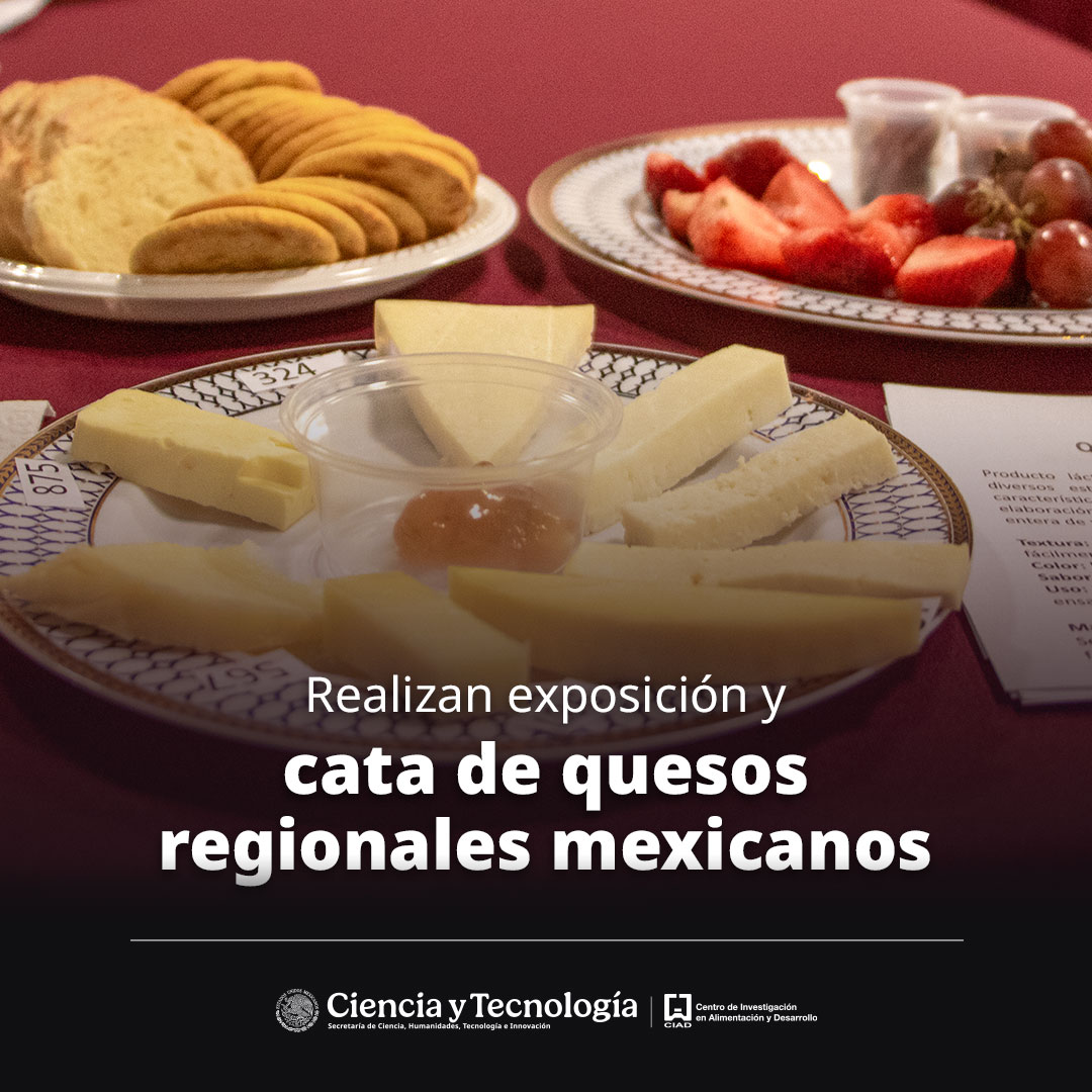 ciadmx's tweet photo. 🧀👨‍🍳En la exposición y cata de #quesos regionales mexicanos se presentaron las características, procesos de elaboración y valor cultural de distintos productos lácteos artesanales del país.
✅https://t.co/CjYRFzWDFD https://t.co/oCbno2PDzB