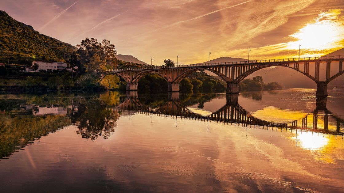 Picfair tweet picture
