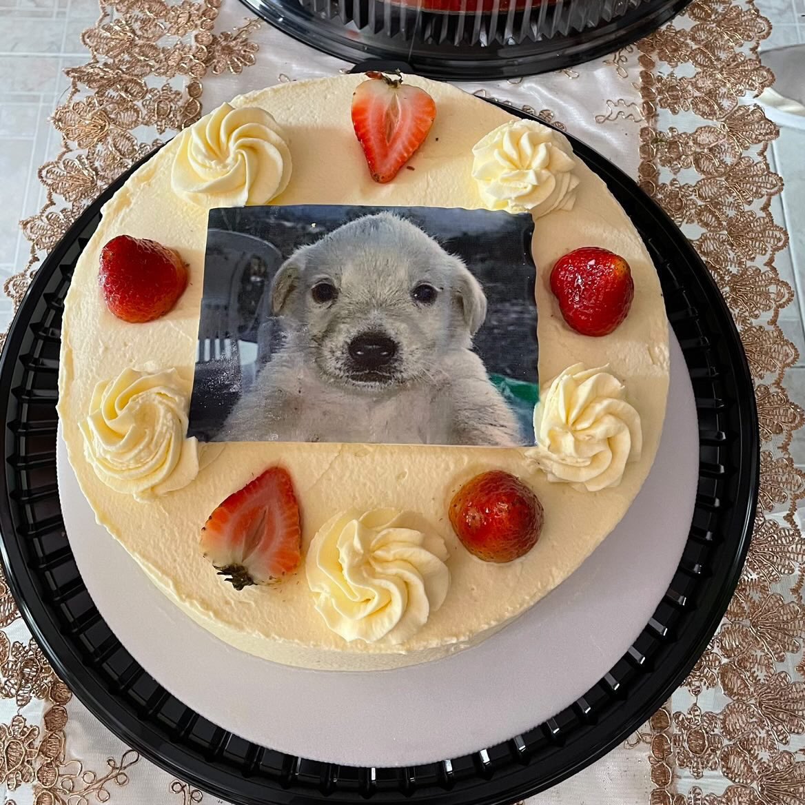 celcelund's tweet photo. this was my birthday cake a couple of years ago https://t.co/0dIjsYcLqu