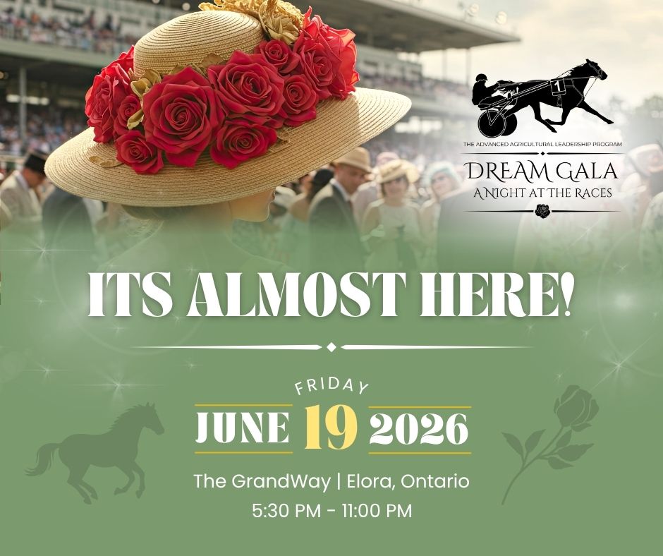 AALPDream's tweet photo. ✨Less than one month until the AALP Dream Gala! Join us for an unforgettable evening at the GrandWay in Elora featuring live horse racing, exceptional food, drinks, music, and a room full of leaders passionate about the future of agriculture. Tickets ➡️https://t.co/0uhTdkWpk0 https://t.co/vTAQc8JVRi