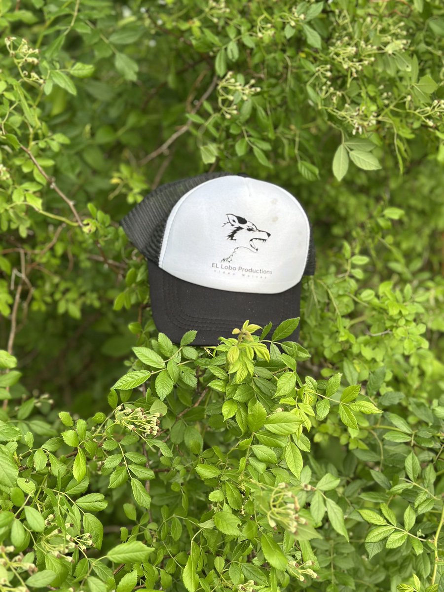 302_watson's tweet photo. “The Lobo Pack stays fresh 🐺 ELLobo hats are live, who’s grabbing one?” https://t.co/qh8ISOYzrS