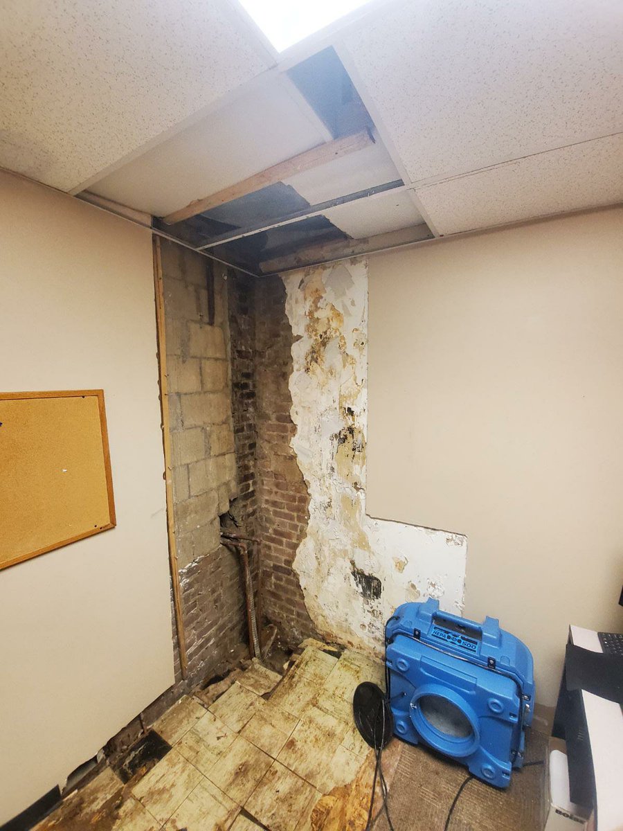 EaseDry's tweet photo. 🧊 The iceberg effect — in real life.
BEFORE: A slight bulge in a New York City office wall. Looked minor. Easy to ignore.
AFTER: One of the most extensive mold growths we have ever seen once that wall was opened up.
The tip of the iceberg is never the whole story.
#MoldRemoval https://t.co/FGwz7NXrDQ