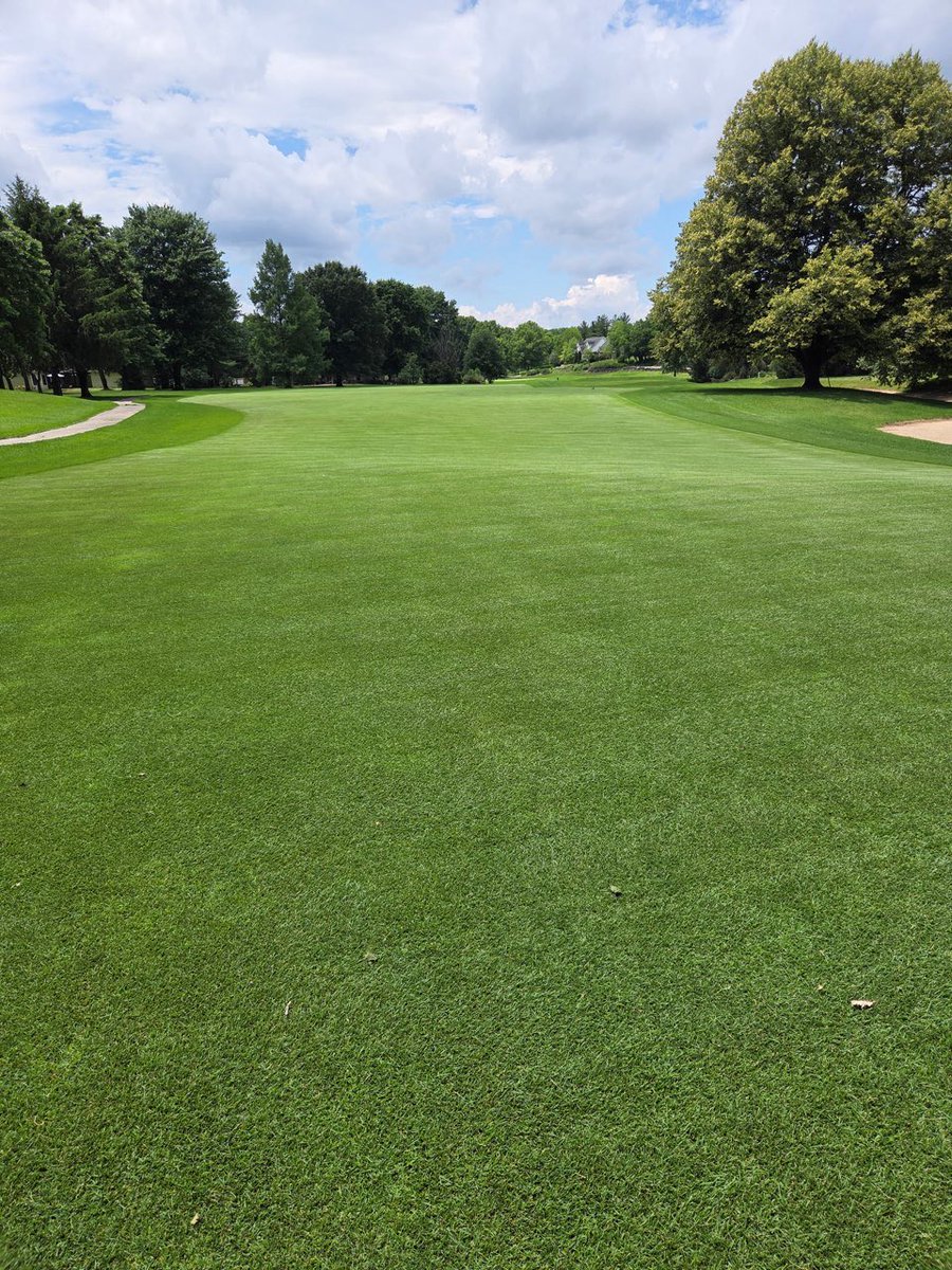 flowbeans22's tweet photo. Just received a text with these pics from a Supe demoing the #ceora on a few fairways. The course has received over 8 inches of rain over the last 7 days and the fairways we are maintaining are the best on the course. @HusqvarnaUSA https://t.co/F5blhcIs7i