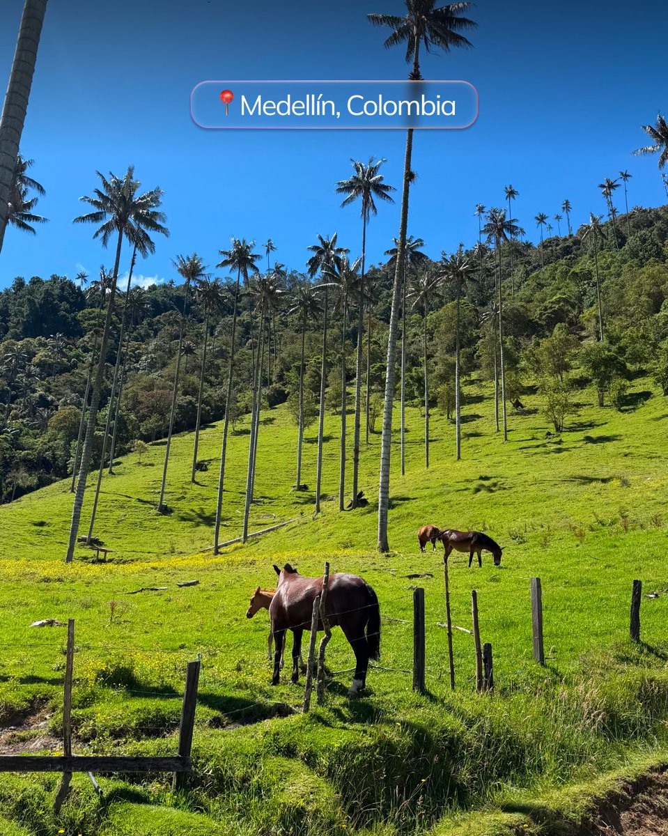 FolderIT's tweet photo. Working From Anywhere, without losing client alignment!

One of our professionals worked from Colombia while staying connected to her team, project goals, and delivery priorities.

Flexibility works when it’s backed by ownership, clear communication, and a results-driven culture. https://t.co/pNJYcfJHWI