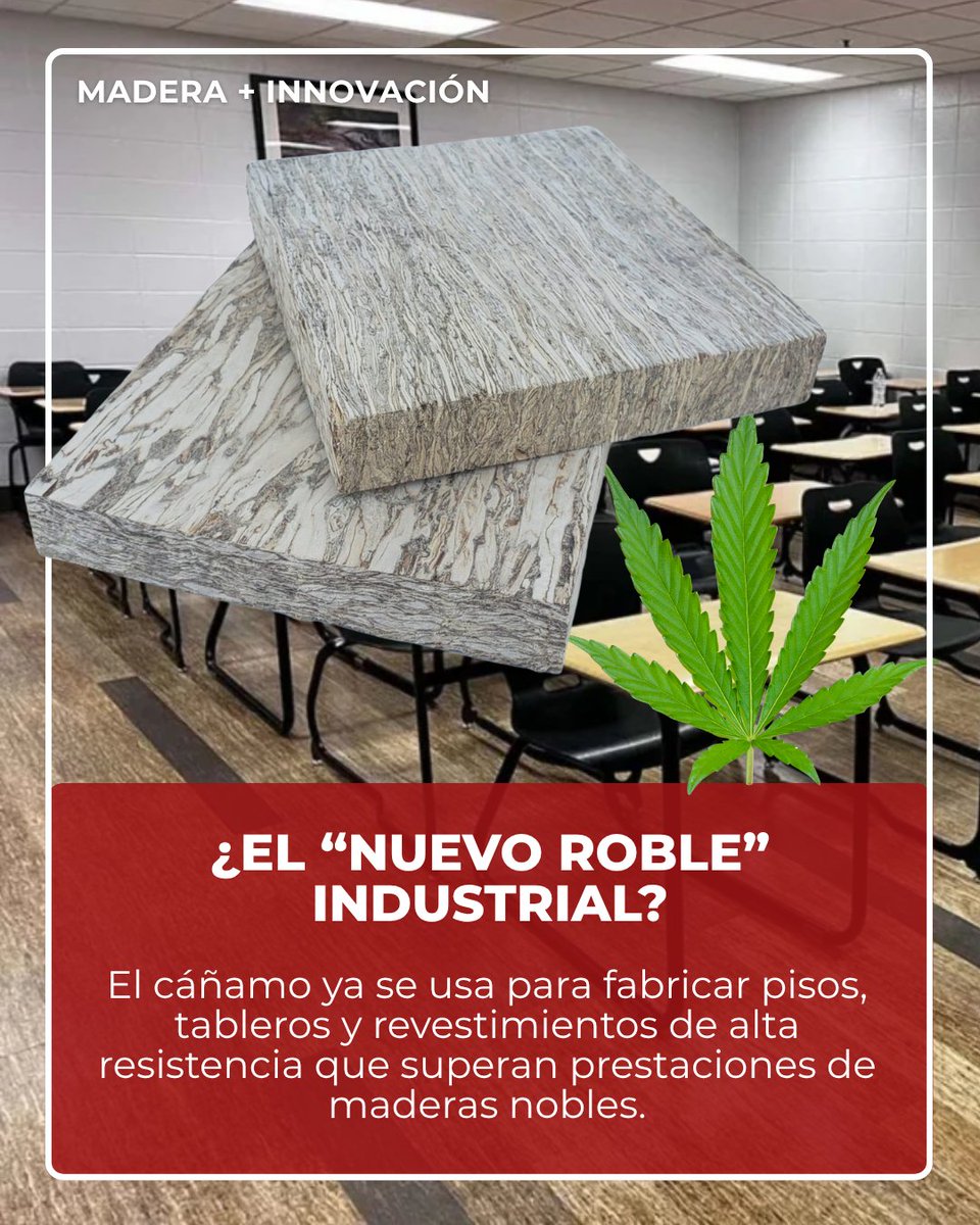 ASORAMyT's tweet photo. ¿El próximo gran material de la industria maderera? 🌱

El cáñamo industrial ya se posiciona en el mundo como una alternativa de alta prestación para fabricar pisos, tableros y revestimientos.

📲 Leé la nota completa: https://t.co/Chbi2Fgy0c https://t.co/Opf3z79yxh