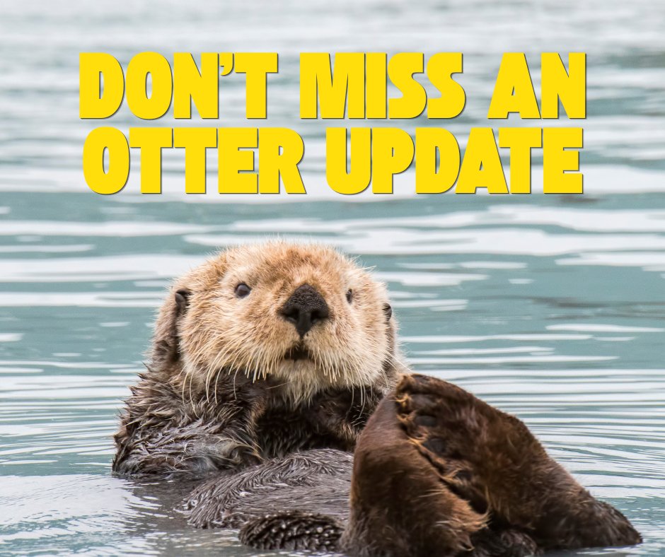 PAP4Children's tweet photo. Don’t miss an otter update from PPC 🦦

Sign up for our e-newsletter to stay in the loop on the latest child policy news, data, and advocacy updates impacting PA kids.

https://t.co/JTS7ZVTTri

#WorldOtterDay #PAKids https://t.co/4dz08GYGZ6