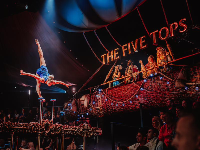 ttdirect's tweet photo. Featuring hit songs from the multi award-winning film plus the finest international circus stars, the greatest show has just got even better. Roll up, roll up and witness the extraordinary. Find Out More: https://t.co/WbcZESCtsy https://t.co/PXL8JBVp9f