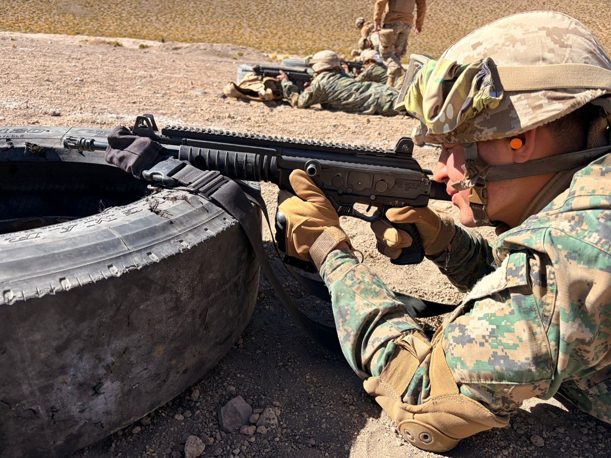 Ejército de Chile tweet media