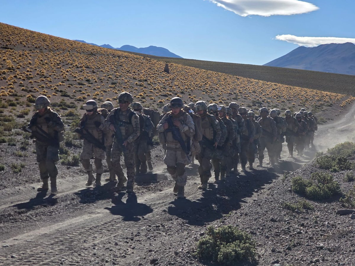 Ejército de Chile tweet media