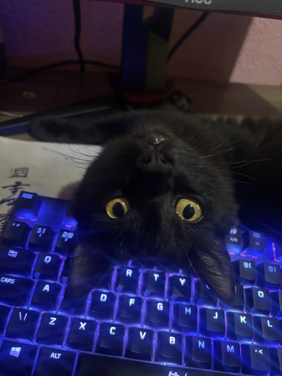 isnauzin's tweet photo. @LoL_France Plz these two for meeee🥹 https://t.co/1tl9kYykvR