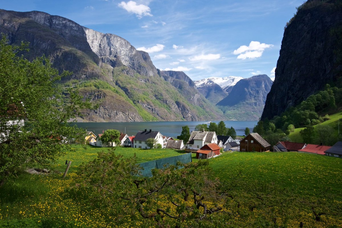magicfjords's tweet photo. Spring Magic… Last year, May showed its best side when I visited the fjord villages by the Aurlandsfjord and Nærøyfjord - with sunshine, blossoms, and snow-covered mountains meeting two seasons. See https://t.co/Jtq6sAUqhU https://t.co/rwUjzYTt5D