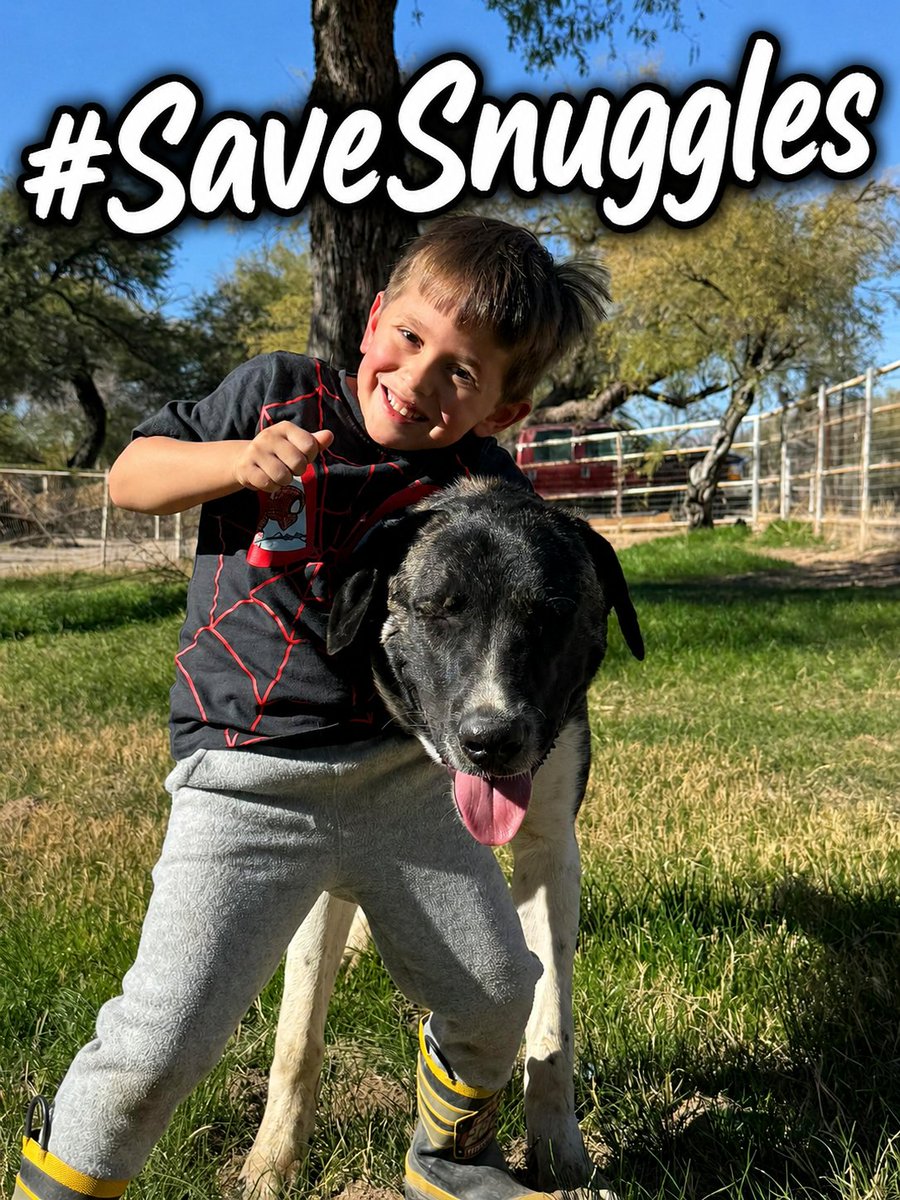 brendanmjones's tweet photo. I've learned a valuable and unexpected lesson through Snuggles' story, which is every bit infuriating as Lucy's.

When I first read the story of the fight to save Sergeant Snuggles, the livestock guardian dog unjustly placed on death row in Arizona, it made me angry. I typed out a few profanity-laced texts to @LoneStarChica about my anger concerning the whole situation. I was ready to go to war. 

The more I read about the story, the more the parallels to my own stood out: a livestock guardian dog owned by a veteran, seized by animal control based on laws  meant to protect those living in urban and suburban areas, which are too often used as a cudgel against working dogs in rural locations where farmers rely on these dogs to protect their farms and livestock.

It occurred to me that I felt far more fury about Snuggles than I do about Lucy. Don't get me wrong, I'm very angry about what happened to my dog. But what happened to Snuggles filled me with a red-hot rage. 

The reason is simple. In the case of Lucy, my anger has a constructive outlet. I can rally social media support to #SaveLucy. I can take the case to the press. I can retain an attorney and fight back legally. I am limited in my ability to do any of that for Snuggles. 

My fury was born of my own impotence, or perception thereof.

I suspect that this same psychological reaction may be behind some of the more vitriolic reactions to Lucy's situation that I have seen in the last few days. To those of you who have expressed anger in ugly ways, I want to say this: I understand you much better now. Reading about Snuggles has put me in your shoes. You have taken umbrage at what has happened and you are trying to help.

Thank you.

When I step back into my own shoes, however, I see that expressions of seething anger are not the way to fight to #SaveSnuggles. What will win? Positivity. Magnanimity. Humor.

Above all, grace and forgiveness.

Always take the high road. We will win a better future for Lucy, Snuggles, and many other dogs to come if we keep up the good vibes.

We are the good guys here. Let's remember that.