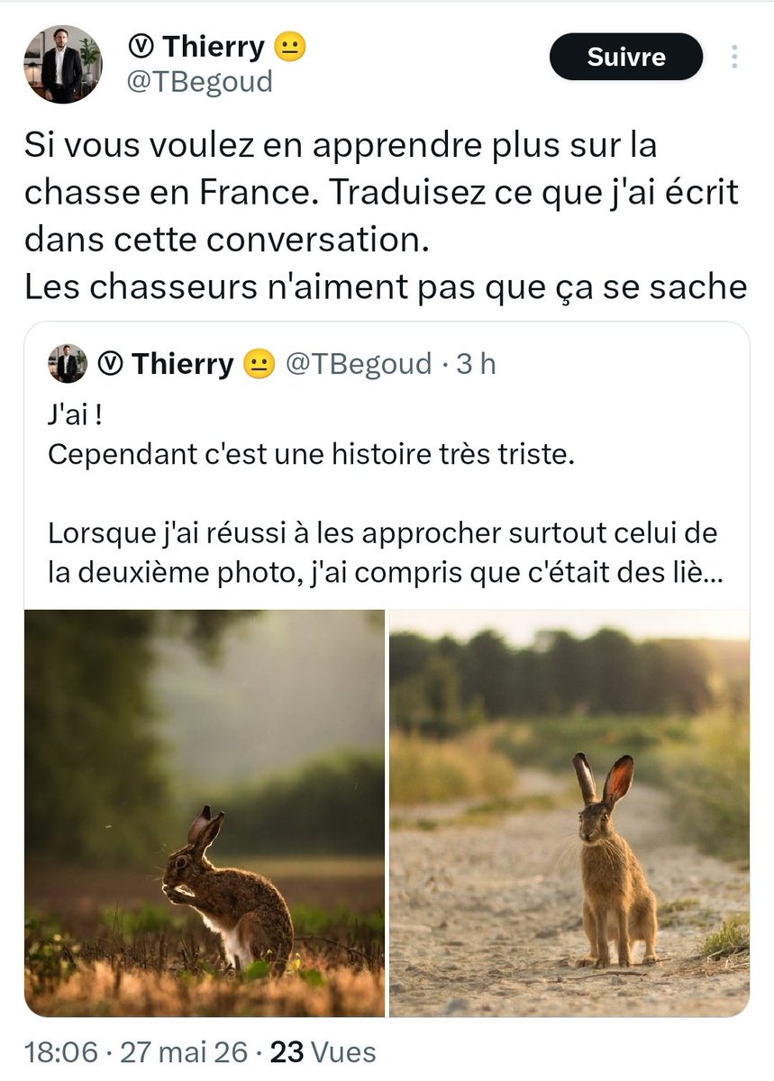 Archer Normand 🏹 tweet media