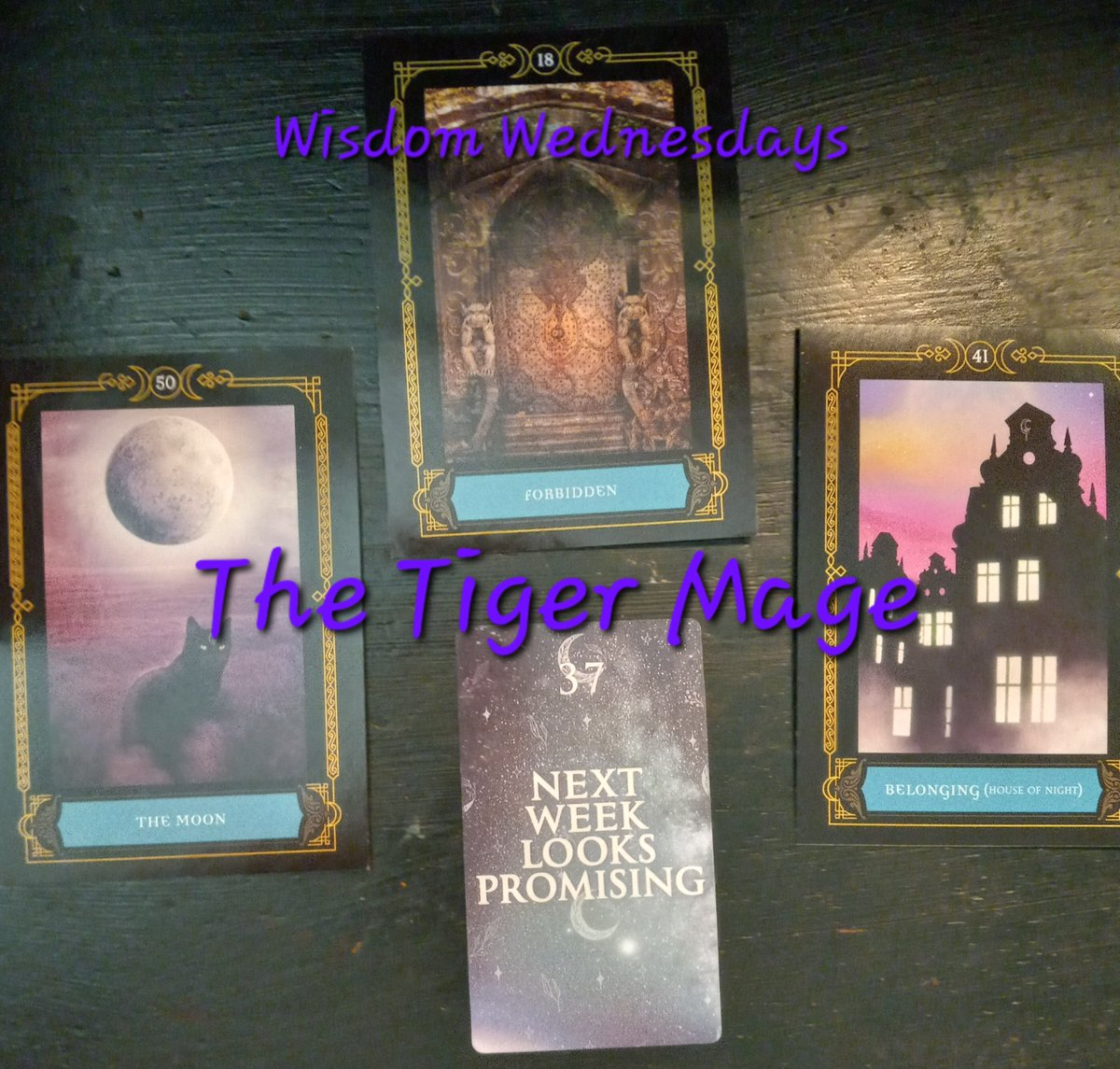 Tiger's Den: Magick & More tweet media