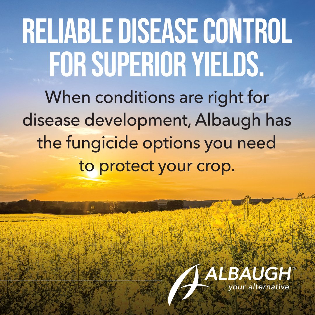 AlbaughCanada's tweet photo. You’ll find the efficacious and cost-effective #fungicides you need to control disease and keep plants healthy and productive, in the trusted portfolio of Albaugh products. Learn more about our field-proven fungicides: https://t.co/j6UI1vM0Bw #YourAlternative https://t.co/KexzmU7jC3