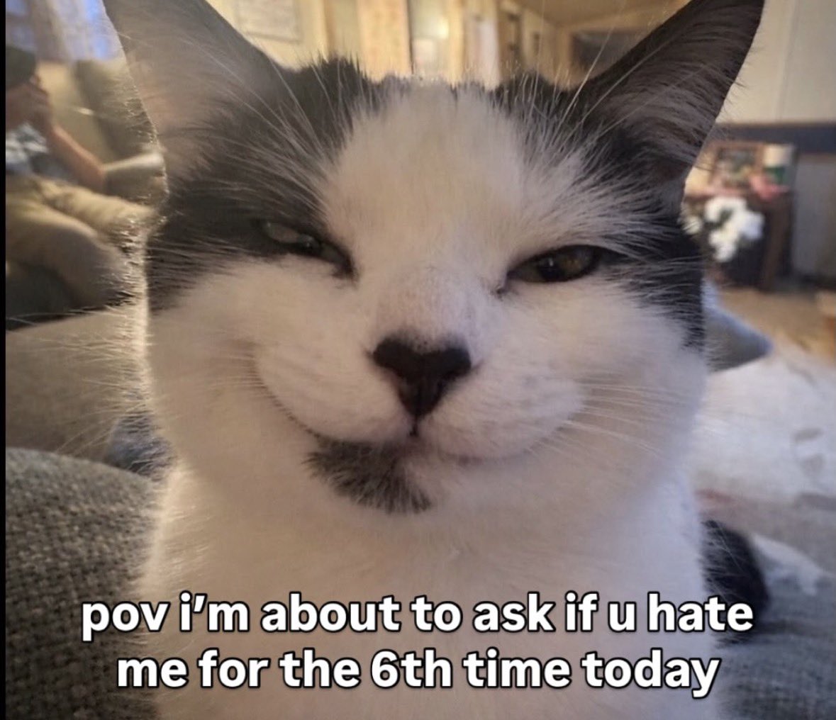 literallymecats's tweet photo. https://t.co/icR3X1NXyP