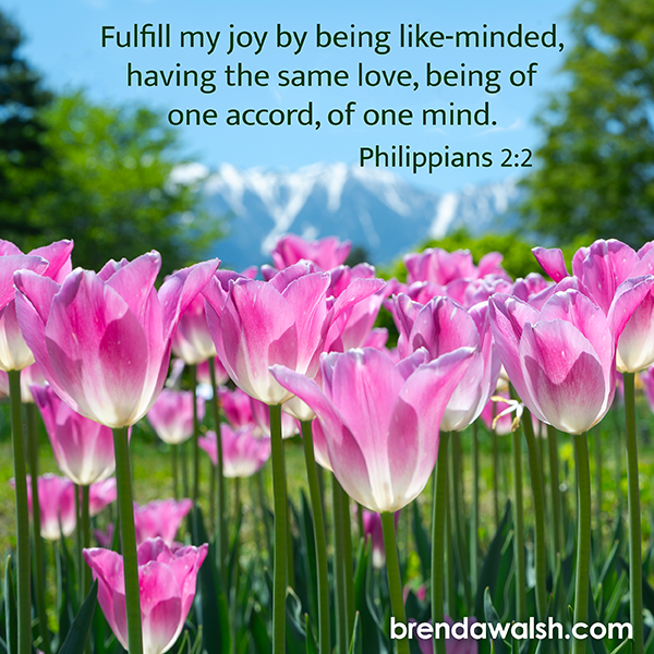 brendakwalsh's tweet photo. Today's Daily Scripture Picture: One Direction
Philippians 2:2 – “Fulfil my joy by being like-minded, having the same love, being of one accord, of one mind.”
#Christian #ChristianLiving #verseoftheday #bible #bibleverse #biblestudy #unity #church #love #onemind #onedirection https://t.co/PmkQdNYT2d