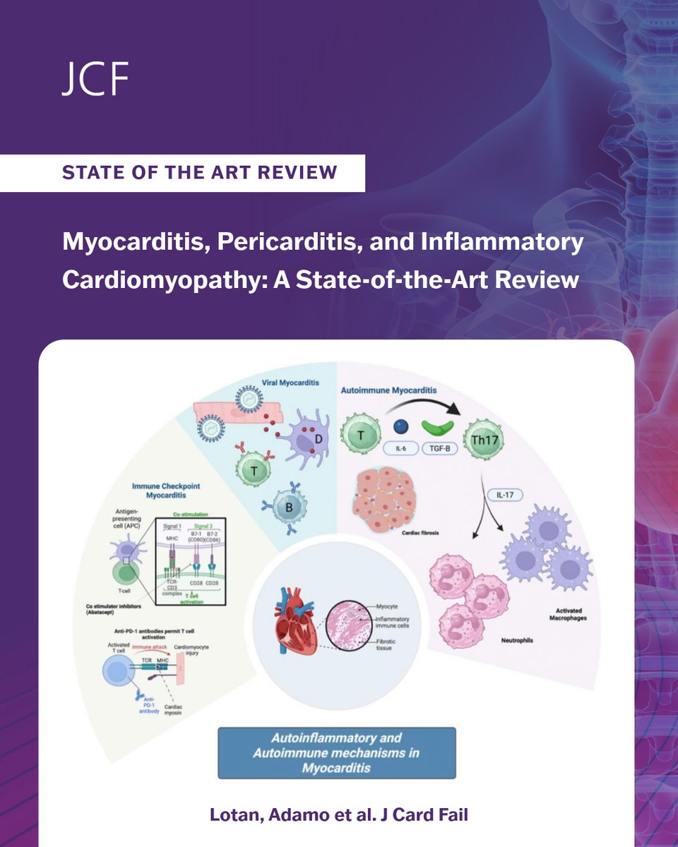 JCardFail's tweet photo. The latest State of the Art Review looks at Immune-mediated pericardial &amp; myocardial syndromes as unified spectrum: linking 🧬 susceptibility, 🌍 triggers &amp; systemic inflammation, with integrated diagnostics &amp; expanding therapies (incl. biologics).

🔗 https://t.co/7nE7hAHoCR https://t.co/cptCkQJT5o